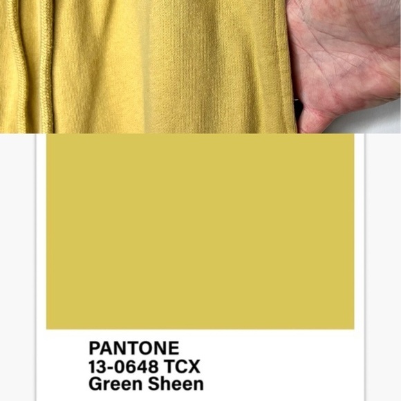 Zara Cargo Green Sheen Wide Leg High Waisted Plush Cotton Sweatpants Small - Picture 10 of 16